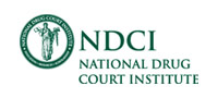 National Drug Court Institute